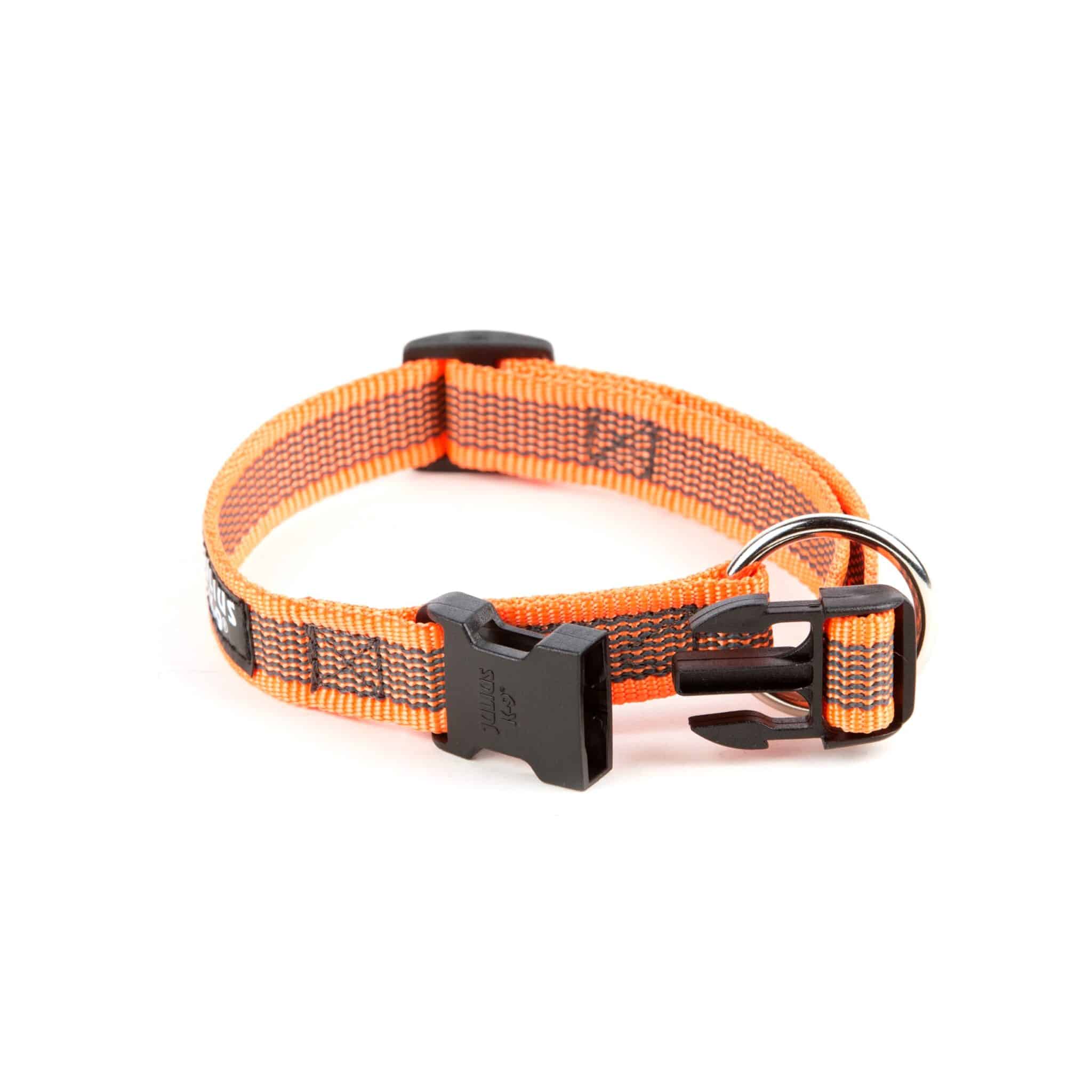Comprar Collar Julius K9 Platz K9
