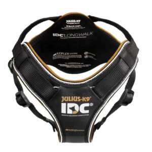 ARNES-JULIUS-K9-idc-longwalk